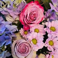 Helene Charlotte Pedersen